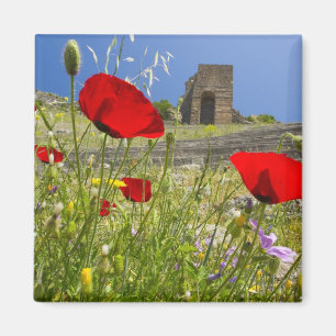 Antique theatre in Acropolis of Pergamon Magnet