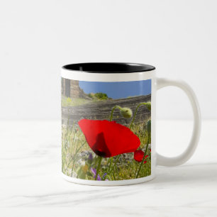 Antique theatre in Acropolis of Pergamon Two-Tone Coffee Mug