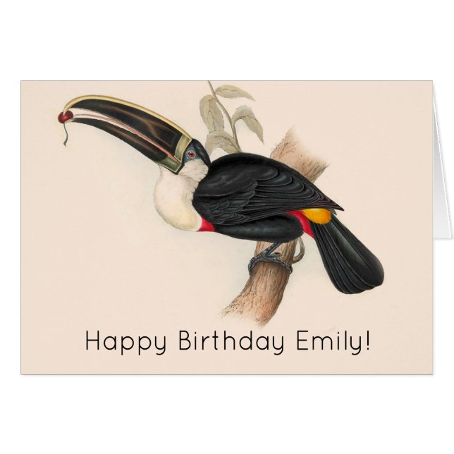 Antique Toucan Bird Wildlife Painting (Front Horizontal)