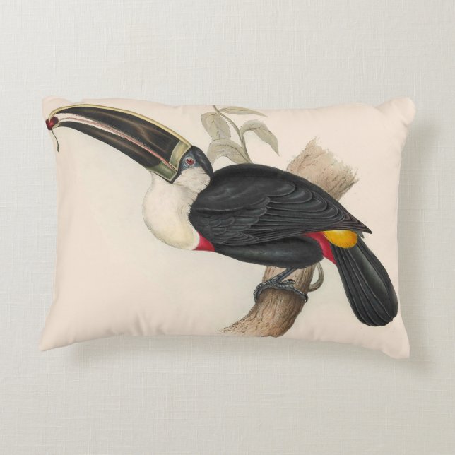 Antique Toucan Bird Wildlife Painting Accent Pillow (Back)
