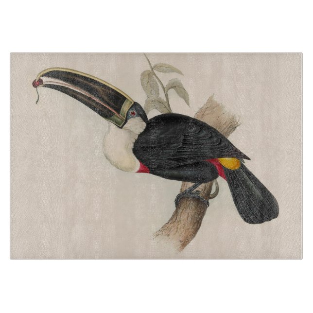 Antique Toucan Bird Wildlife Painting Cutting Board (Front)
