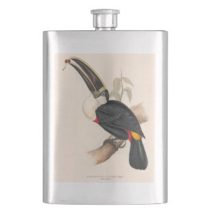 Antique Toucan Bird Wildlife Painting Hip Flask