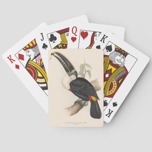 Antique Toucan Bird Wildlife Painting Playing Cards (Back)