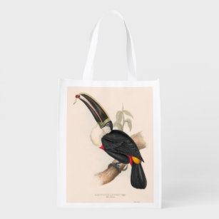 Antique Toucan Bird Wildlife Painting Reusable Grocery Bag
