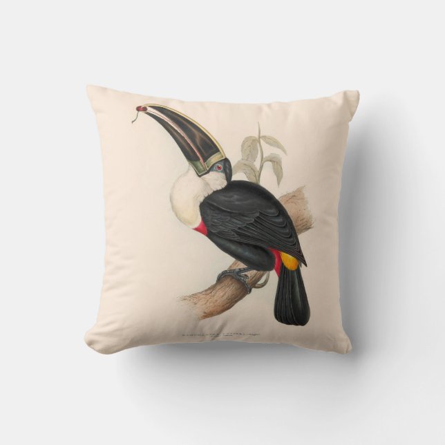 Antique Toucan Bird Wildlife Painting Throw Pillow (Front)