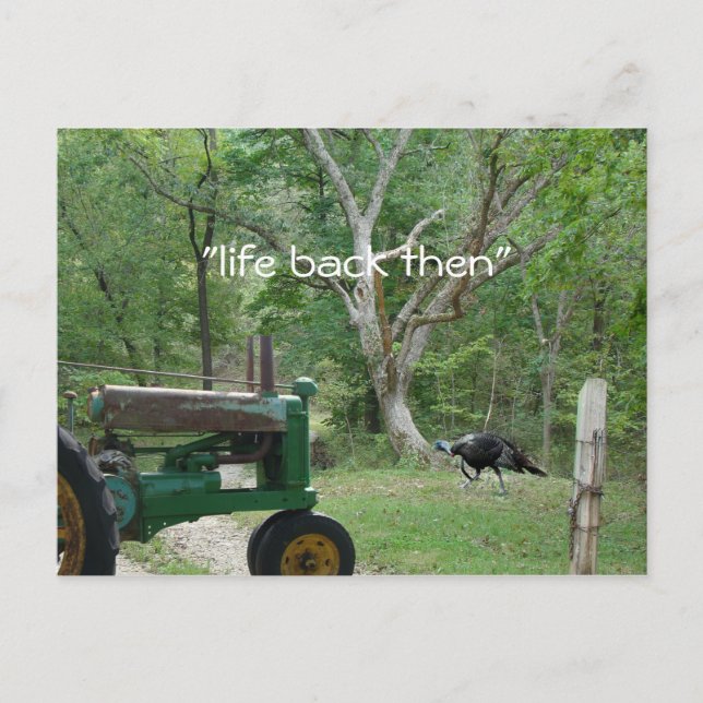antique tractor & turkey Postcard- customize Postcard (Front)