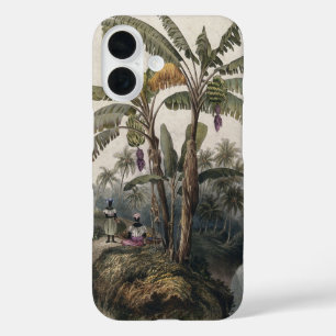 Antique Tropical Banana Tree Forest   Vintage Bota iPhone 16 Case