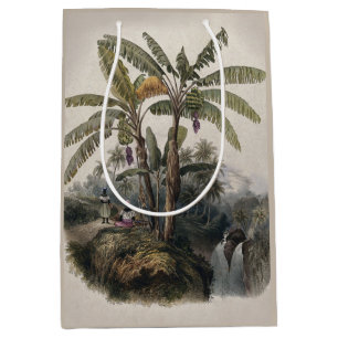Antique Tropical Banana Tree Forest   Vintage Bota Medium Gift Bag