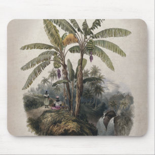 Antique Tropical Banana Tree Forest   Vintage Bota Mouse Pad