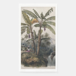 Antique Tropical Banana Tree Forest   Vintage Bota Napkin