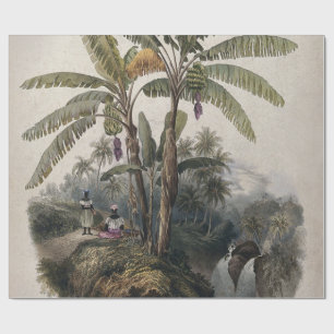 Antique Tropical Banana Tree Forest Vintage Bota Wrapping Paper