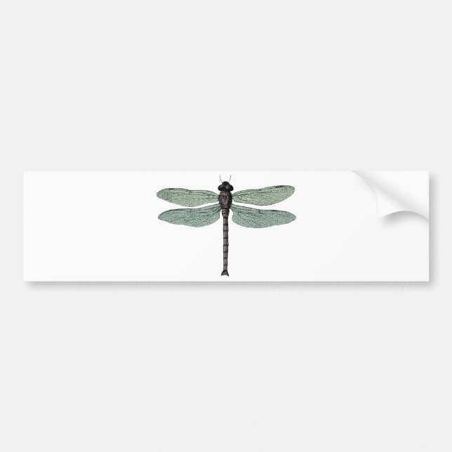 antique typographic vintage dragonfly bumper sticker (Front)