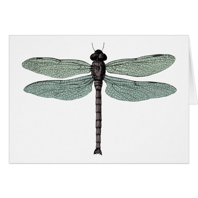 antique typographic vintage dragonfly Note (Front Horizontal)