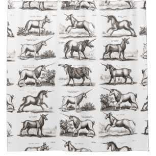 Antique Unicorn Engraving Vintage Zoology Specimen