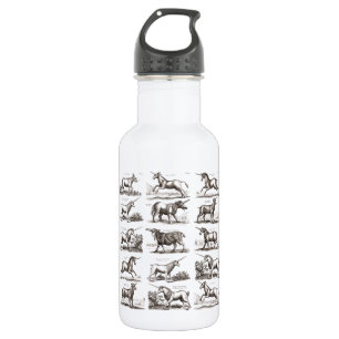 Antique Unicorn Engraving Vintage Zoology Specimen 532 Ml Water Bottle