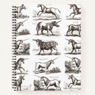 Antique Unicorn Engraving Vintage Zoology Specimen Notebook
