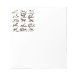 Antique Unicorn Engraving Vintage Zoology Specimen Notepad