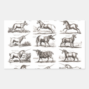Antique Unicorn Engraving Vintage Zoology Specimen Sticker