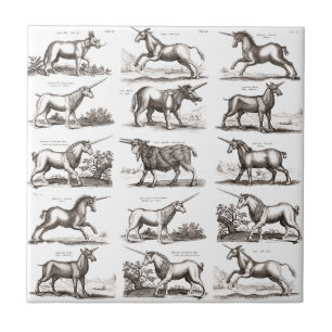 Antique Unicorn Engraving Vintage Zoology Specimen Tile