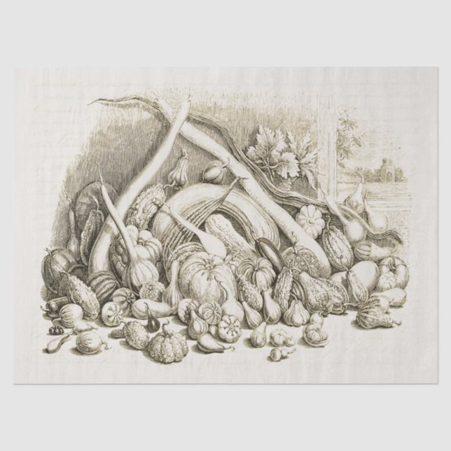 Antique Vintage Pumpkin Squash Beige Tissue Paper (Front)