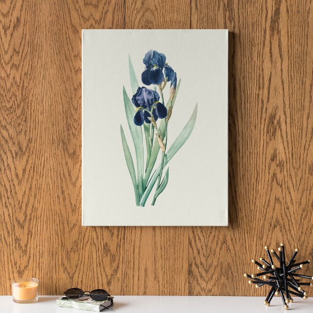 Antique Watercolor Botanical Print  (Antique Watercolor Botanical Print)