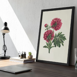 Antique Watercolor Botanical Print