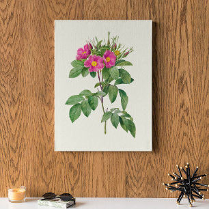 Antique Watercolor Botanical Print 