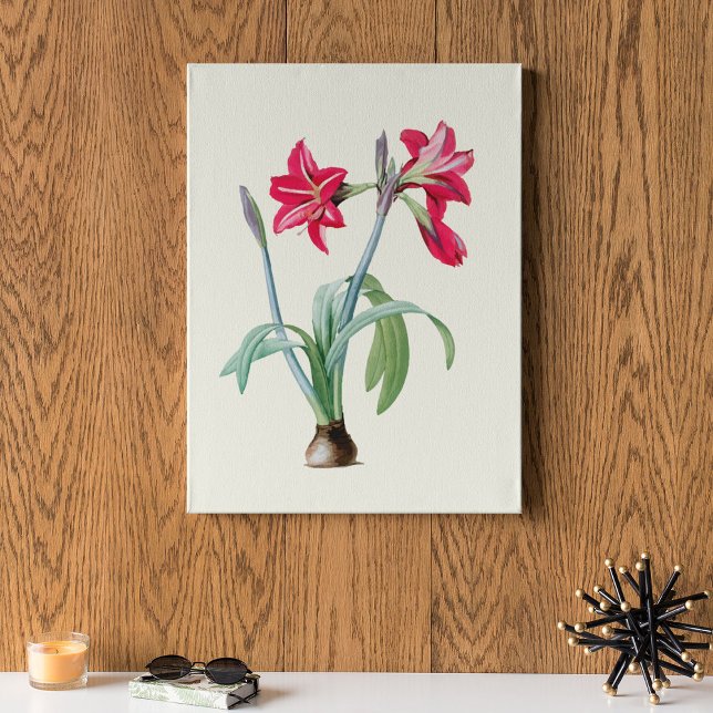 Antique Watercolor Botanical Print  (Antique Watercolor Botanical Print)