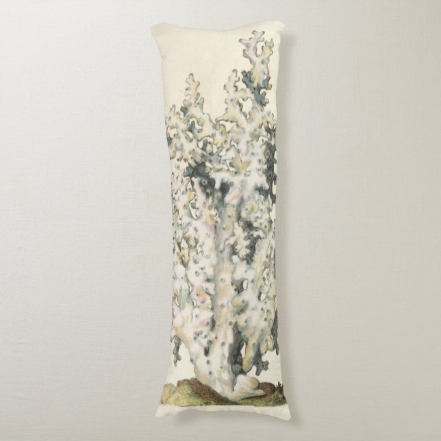 Antique Watercolor Coral Body Pillow (Front Vertical)