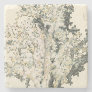 Antique Watercolor Coral Stone Coaster
