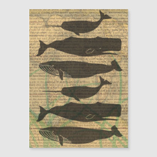 Antique Whale Nautical Sea Life