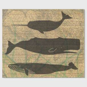  Antique Whale Nautical Vintage Ocean Sea Life  Wrapping Paper