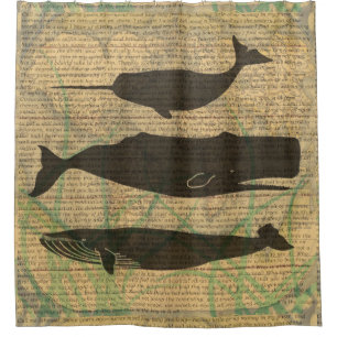  Antique Whale Nautical: Vintage Sea Life 