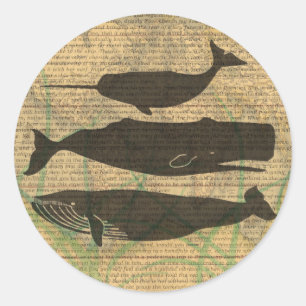  Antique Whale Nautical: Vintage Sea Life  Classic Round Sticker