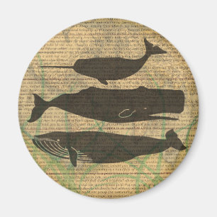 Antique Whale Nautical: Vintage Sea Life Magnet