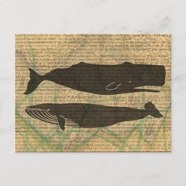  Antique Whale Nautical: Vintage Sea Life  Postcard (Front)