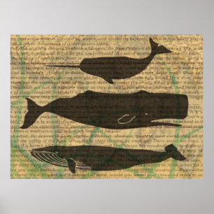 Antique Whale Nautical: Vintage Sea Life  Poster