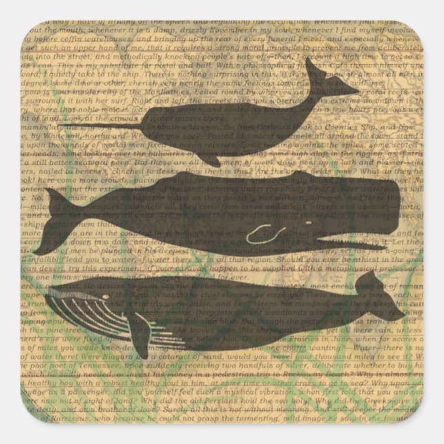  Antique Whale Nautical: Vintage Sea Life  Square Sticker (Front)