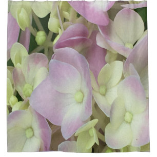 Antique White and Dusty Pink Hydrangea Petals