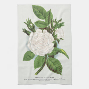 Antique White Moss Rose Flower Garden Art Kitchen Towel