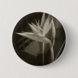 Antiqued Bird of Paradise 10 2 Inch Round Button