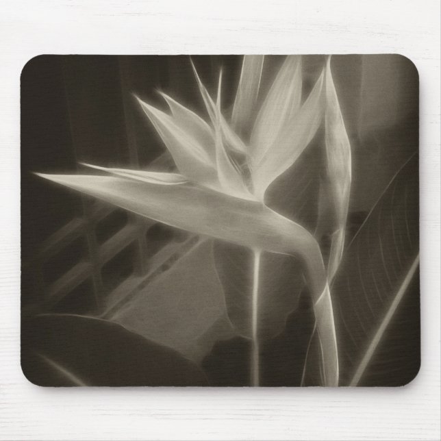 Antiqued Bird of Paradise 10 Mouse Pad (Front)
