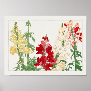 Antirrhinum majus by Tanigami Konan Poster