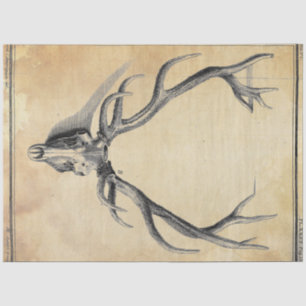 Antler Decoupage Paper
