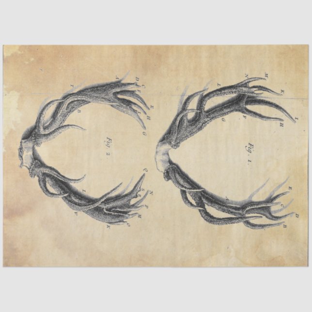 Antler Decoupage Paper (Front)