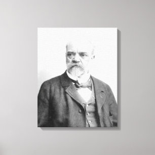 Anton Dvorak Canvas Print