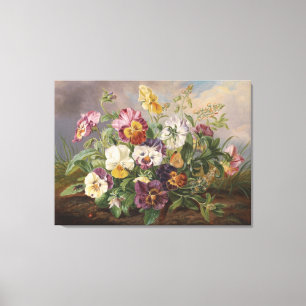 Anton Mollis Vintage Pansy Canvas Print