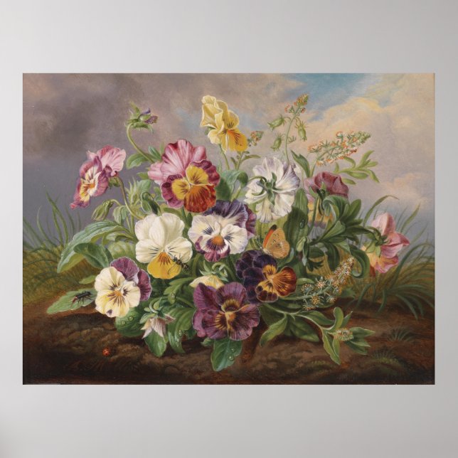 Anton Mollis Vintage Pansy Poster (Front)