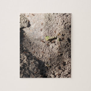 Ants Go Marching Jigsaw Puzzle