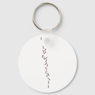 ants keychain